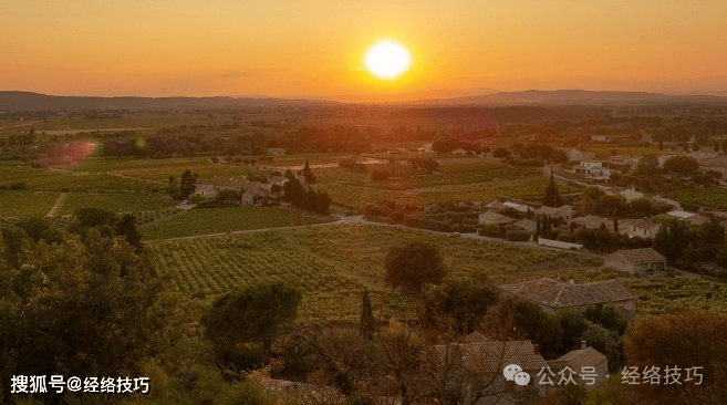 原创            晨起后有这4个习惯？更可能健康长寿