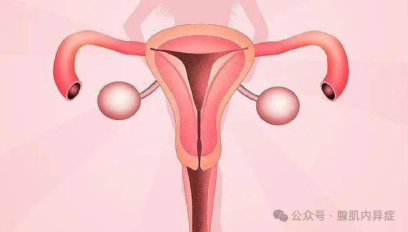 子宫腺肌症吃什么药可以缓解症状？这些药物要知道