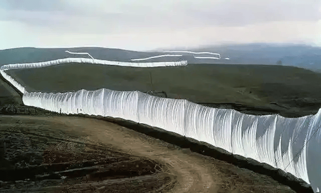 半卷书·播客版｜艺术与环保