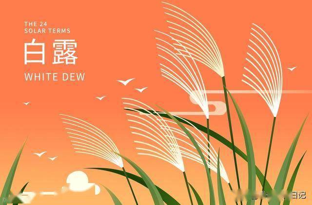 明天白露，多给家人喝汤，润肺去燥养颜，老少皆宜，别错过了