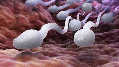 为什么男性会得“死精症”？应该如何预防？