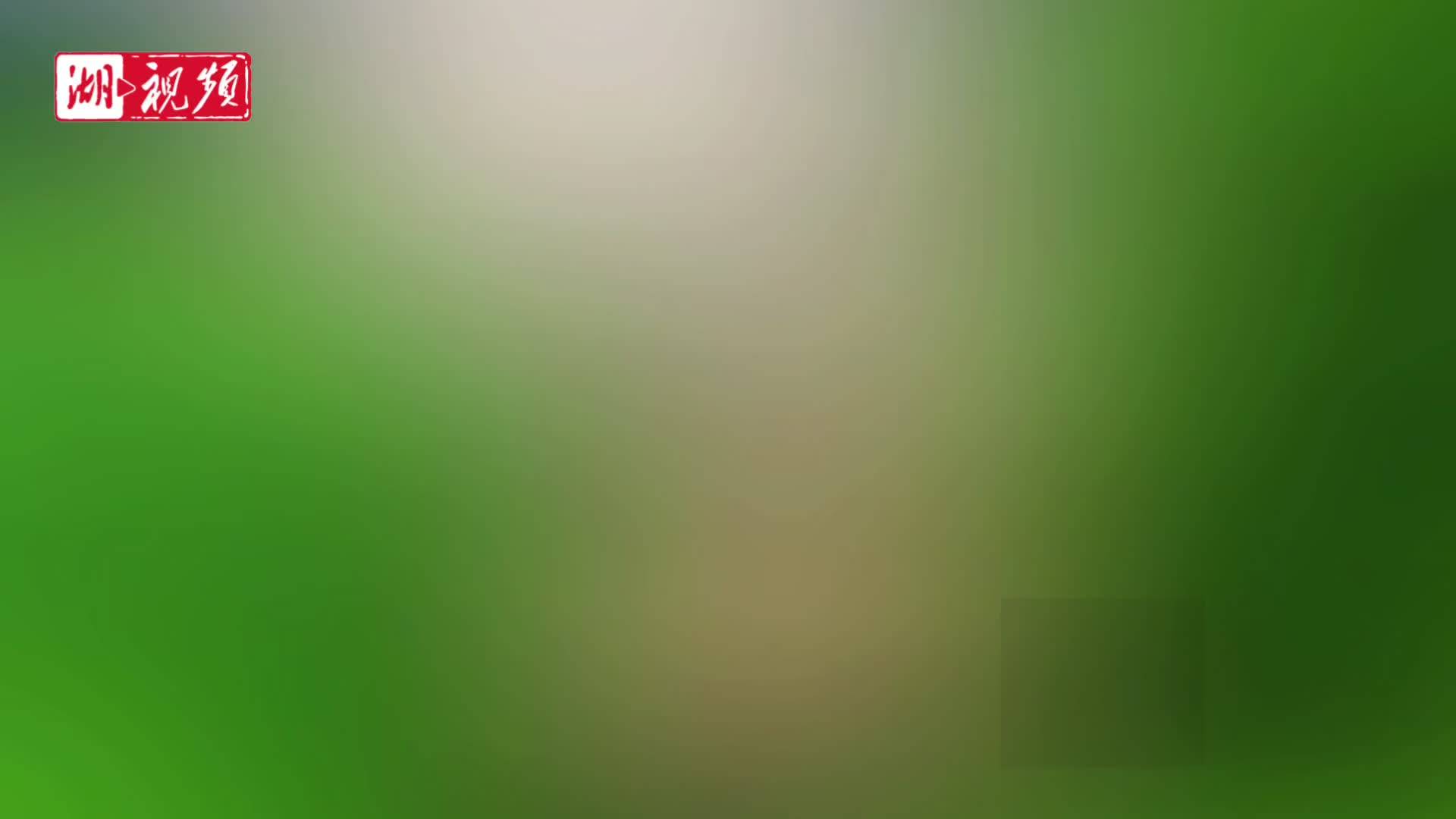 急办！1小时填好小学旁的绊脚排水沟