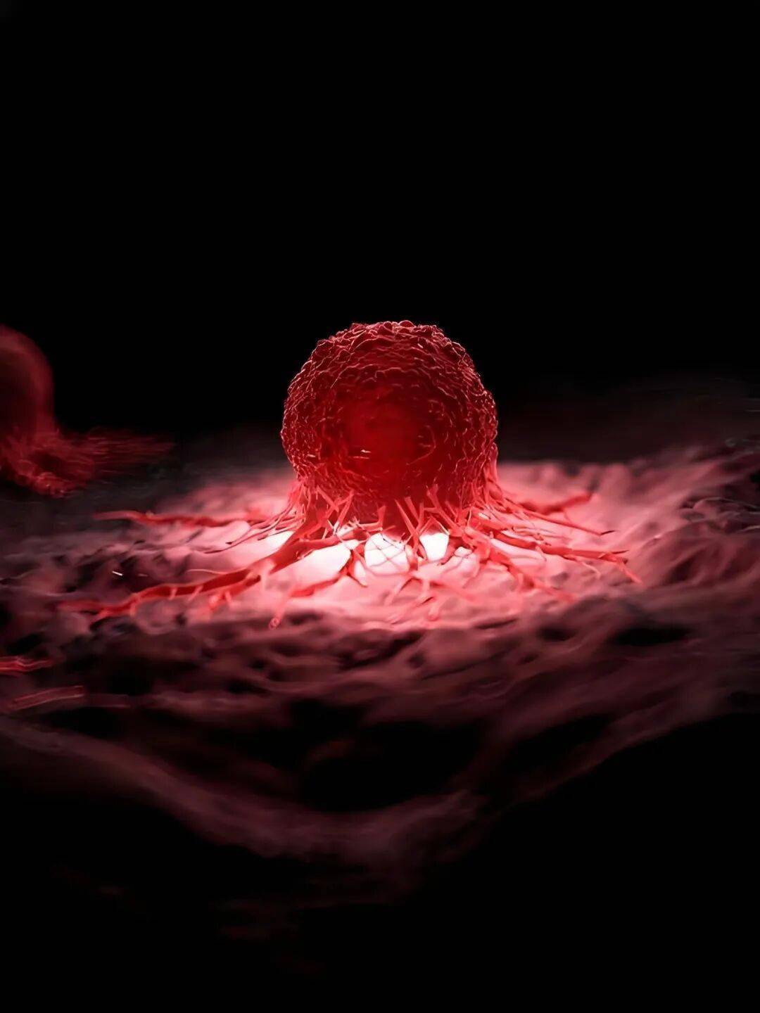 美国学者发布癌症治疗新策略：可有效抑制癌细胞增殖