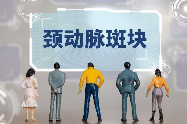 体检发现颈动脉斑块？4类中成药胶囊，一文总结：辨证选用