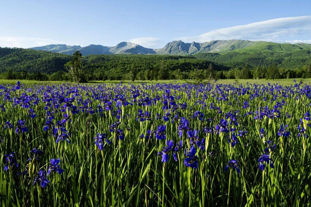 今日长白山（9月13日）