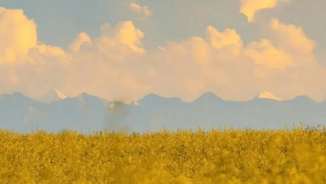 荣格语录 | 往外张望的人在做梦，向内审视的人才清醒