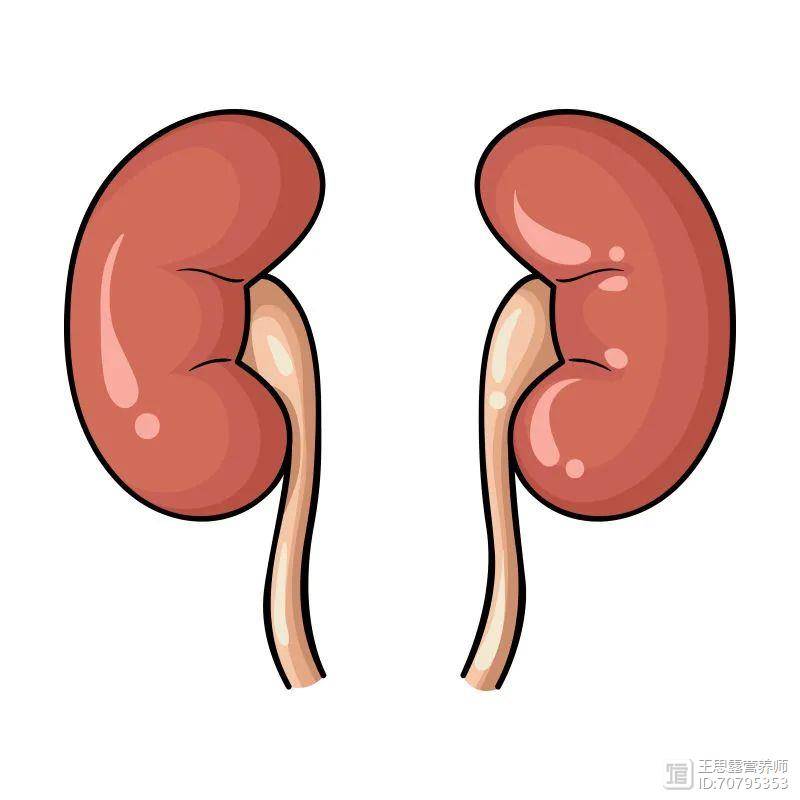 如果想养肾护肾，无需用药，做好这日常7条就足够了