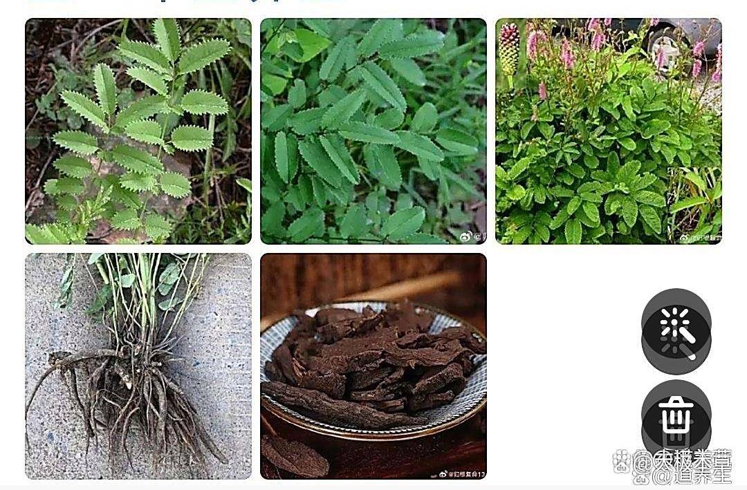 原创            一个使用了30多年的烧烫伤秘方