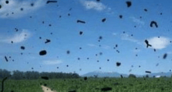 眼前多小黑点、视力模糊？警惕这种常见眼病！