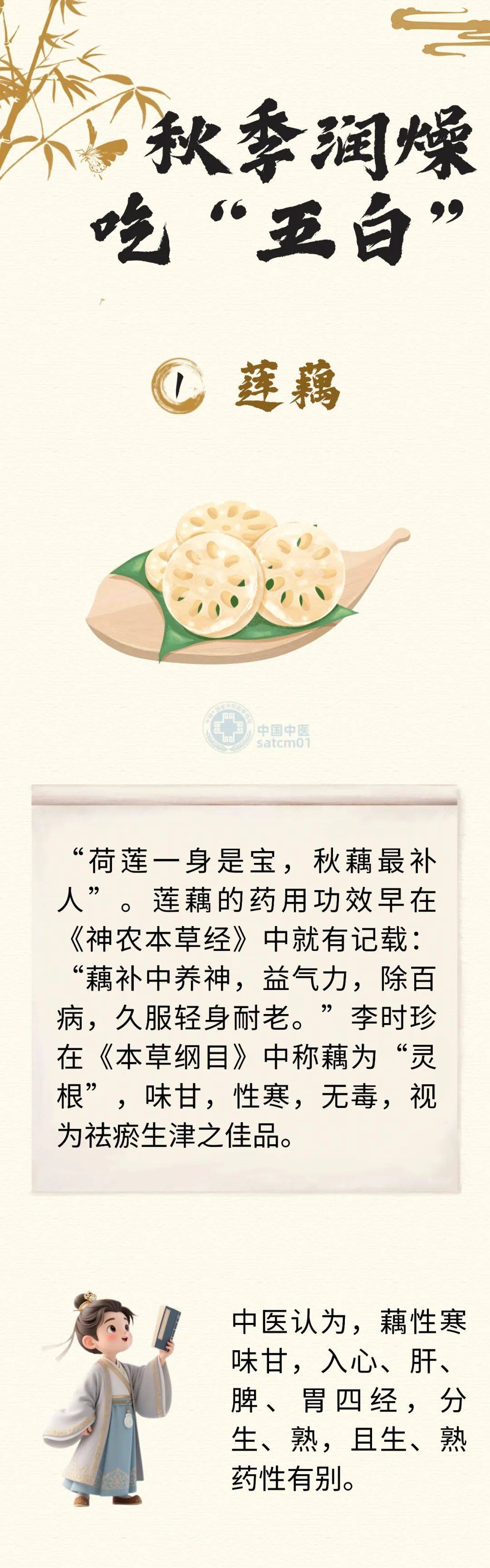 【科普】铁打的肺也需要养！秋天收下这份“白色食谱”，养肺润燥