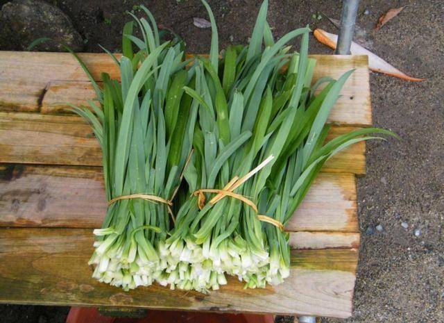 高血压患者，不能吃韭菜？医生忠告：想要血压稳定，远离3种蔬菜