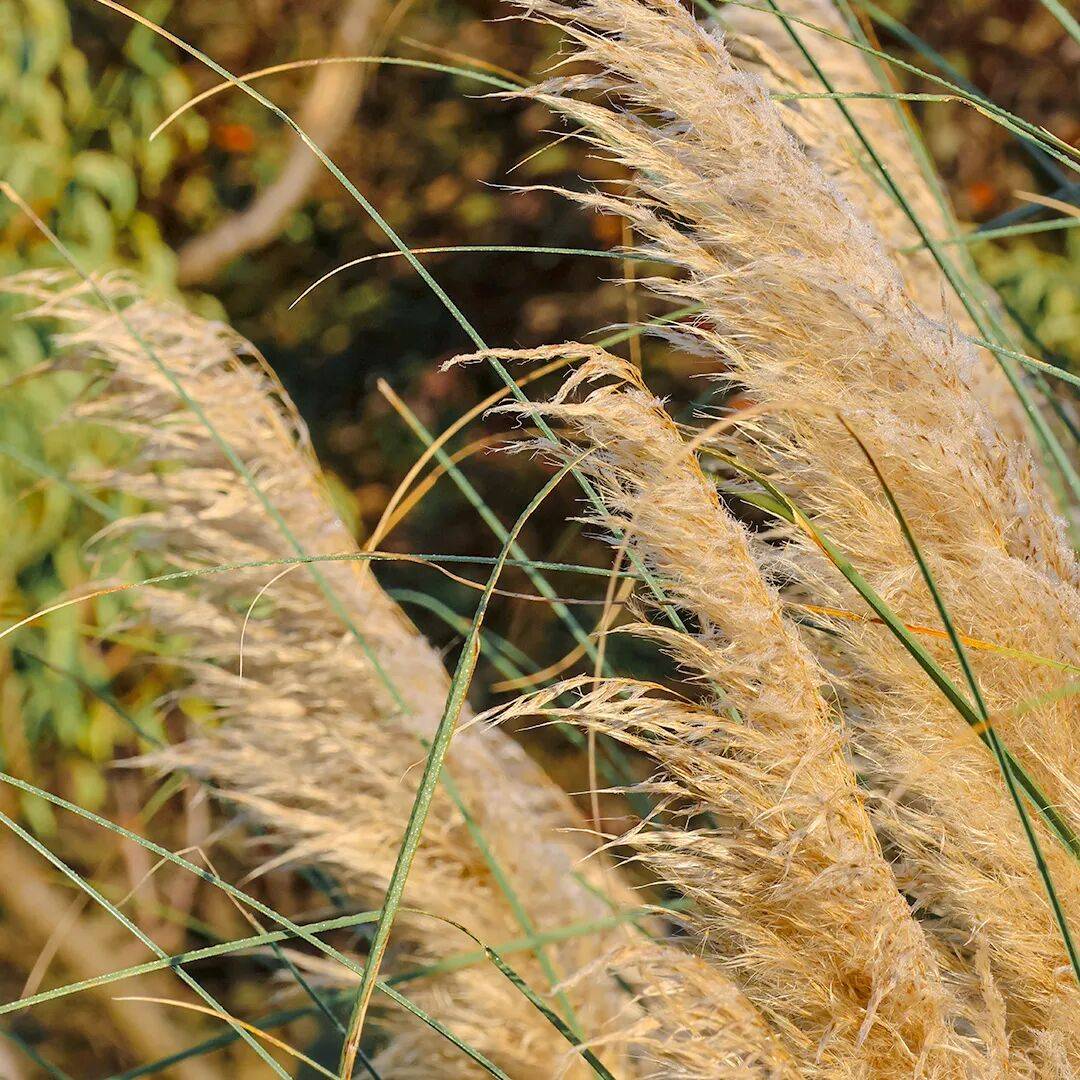 北京地坛医院徐州医院药剂科：秋分养生，平衡阴阳，顺应时节