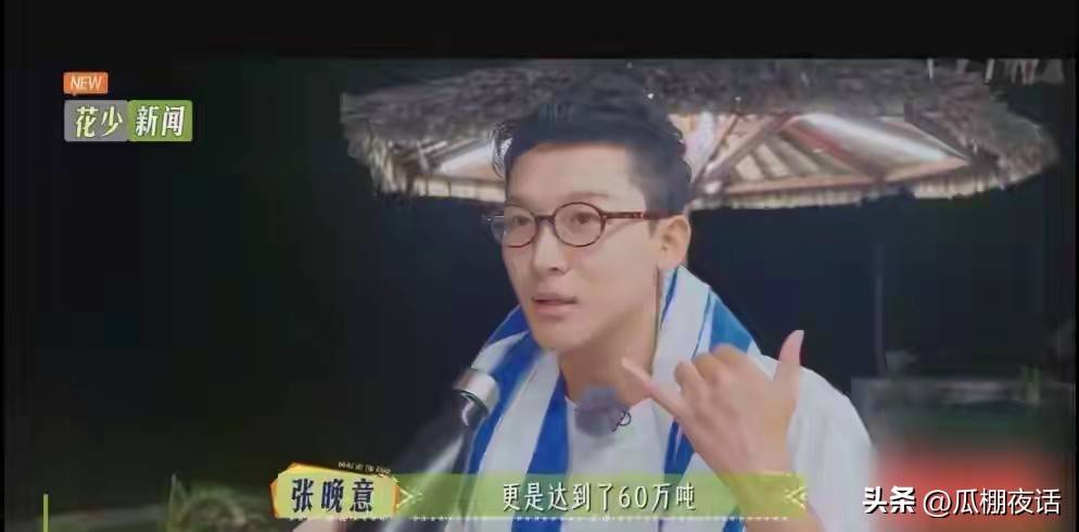 原创            张晚意可能也想不到，参加一次综艺后，竟不能出演正剧了，天塌了