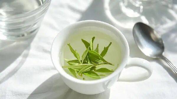 痛风不能喝茶？建议：这些茶有助排尿酸，有些茶加重病情，别喝错