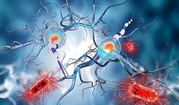 派舒宁塞纳帕利是靶向药吗