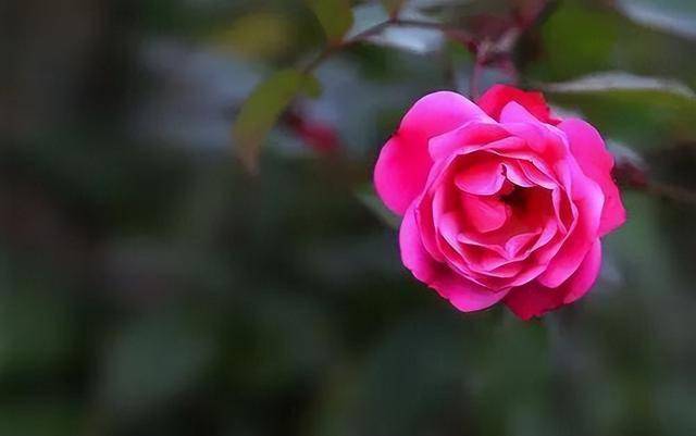 男人彻底爱上你，大多会有这几种表现，假装不了