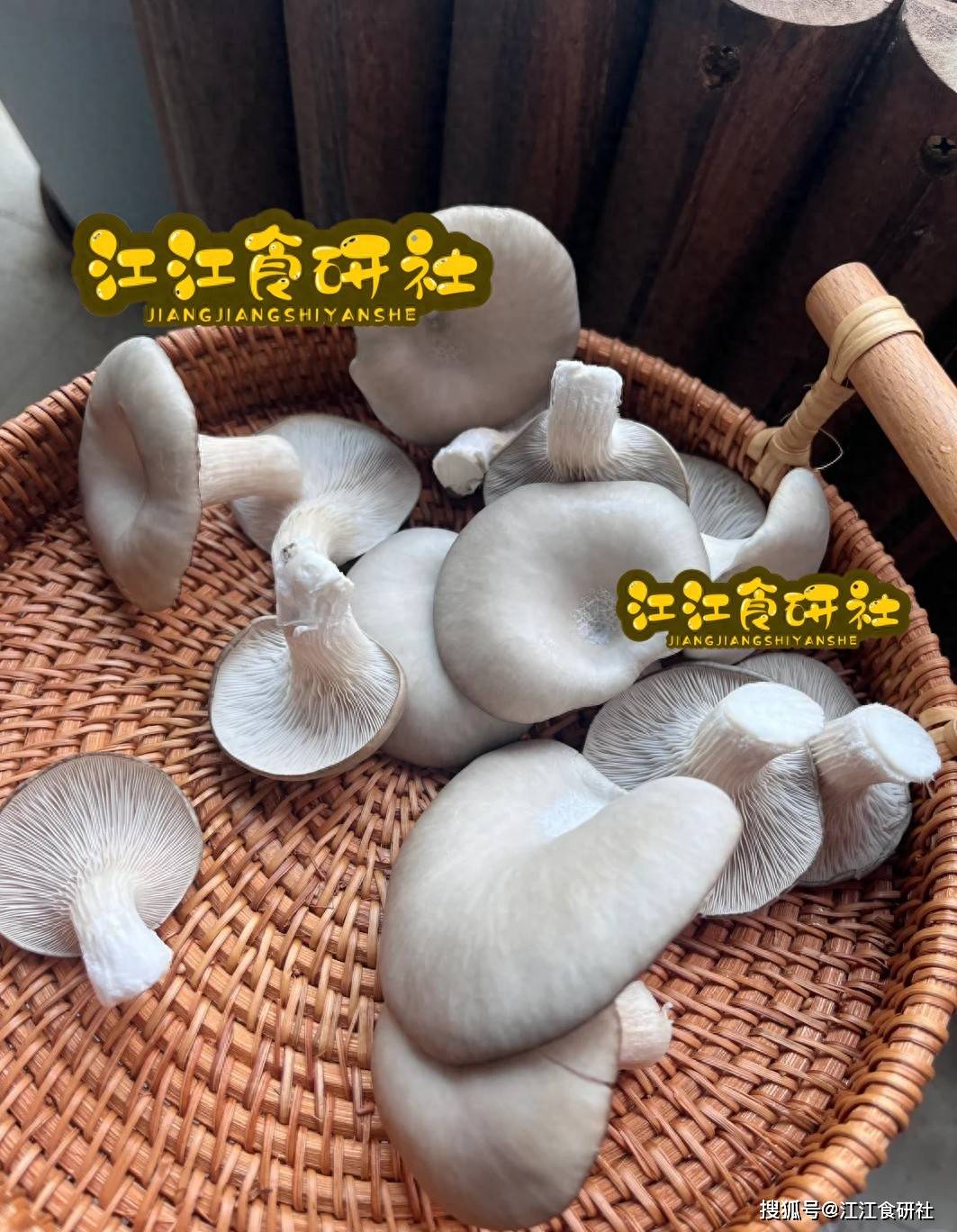 原创            立秋后，莲藕山药靠边站，它才是“秋补之王”，简单一炒鲜美至极
