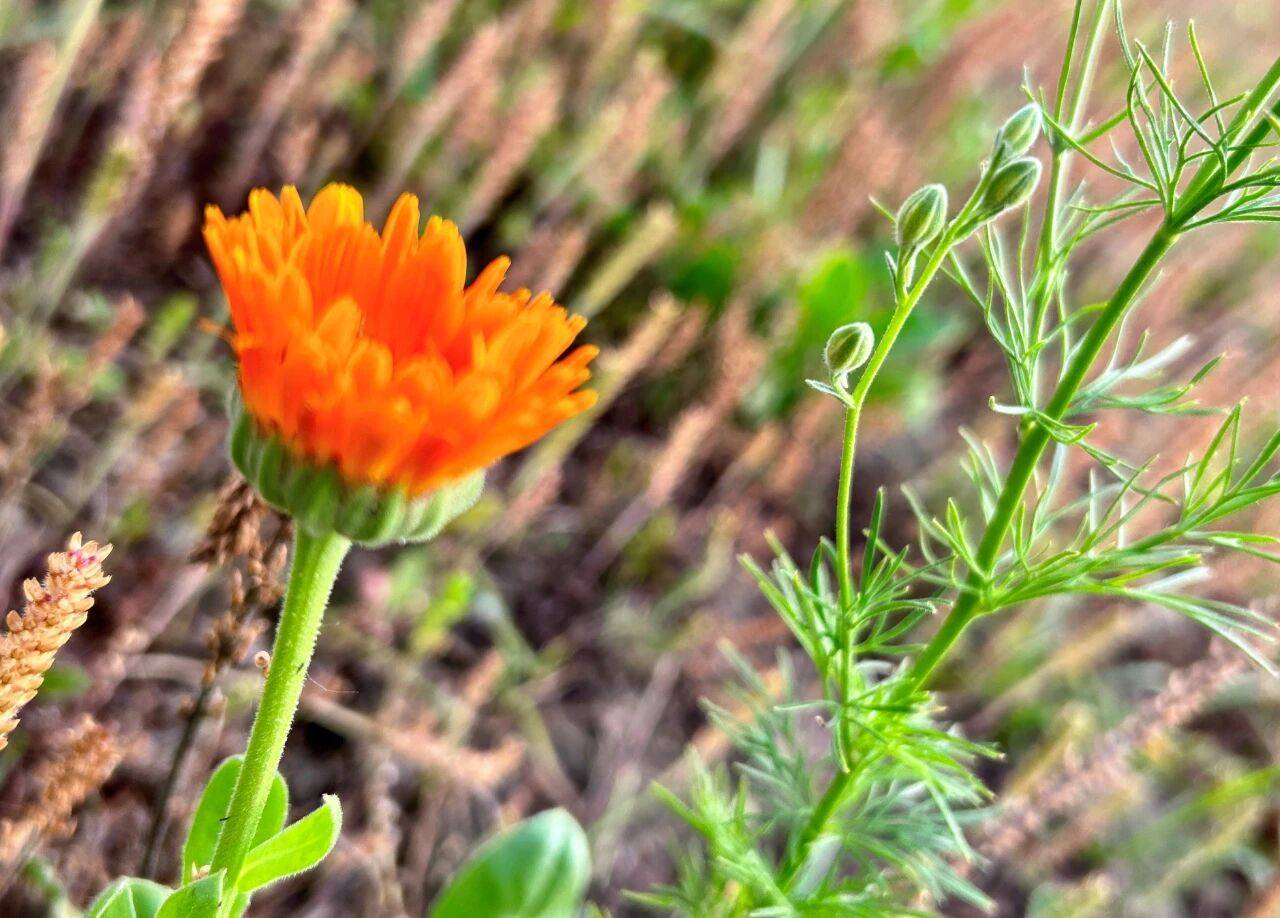 原创            男人背叛后，就守不住财的原因，妻子要看清