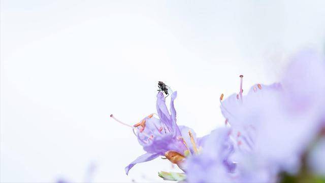 男人的角度告诉你：当他不爱你的时候，会有一个反应