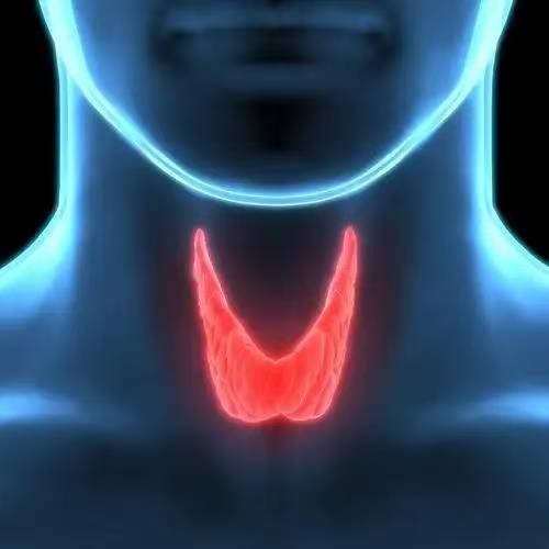 【西安甲康甲状腺研究院】甲状腺与免疫力：为什么总是感冒生病？