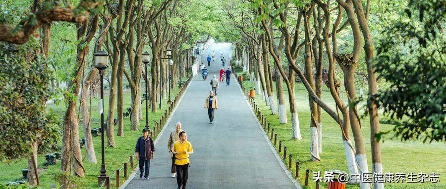 秋分养生：秋燥加剧、昼夜均分，4个科学调理法护健康