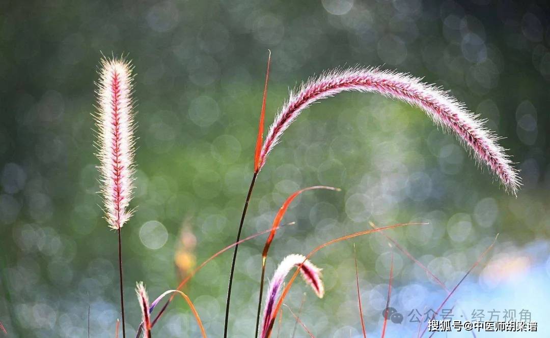 牛皮癣复发是由于忽略了这些因素！