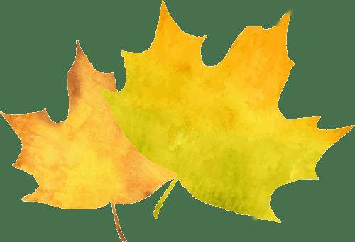 【妇产科普】横扫痘痘，一杯“灭火茶”，清热降火！