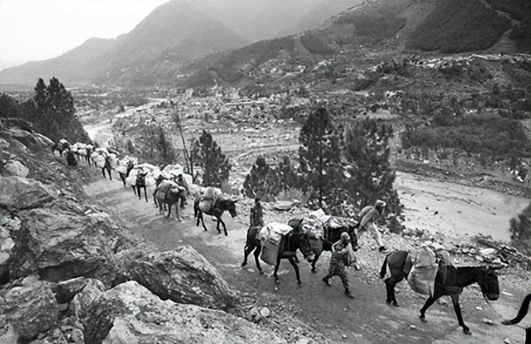 原创            新四军侦察员为筹冬衣，冒险和日本人交易却被质疑身份，结果怎样