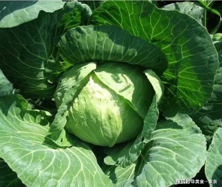 原创            你知道糖尿病人最应该忌口食物是什么吗？如何预防糖尿病肾病呢？