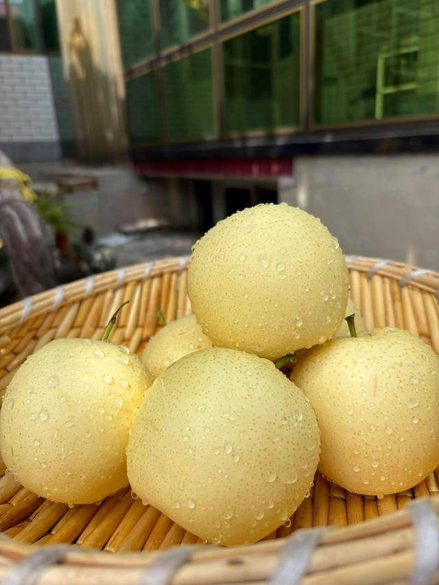 白露将至，记得多吃5样少做这3件事，轻松养生别忘了告诉家人