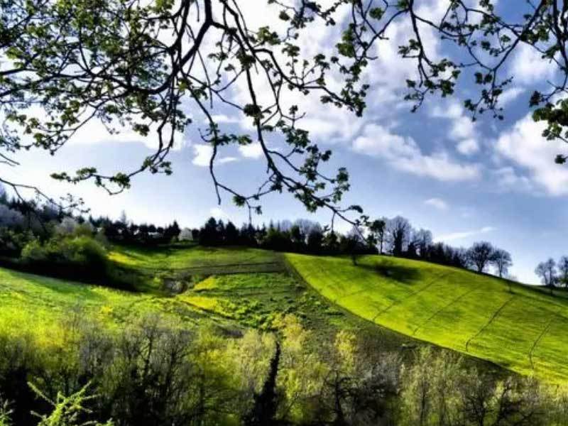 《麻花特开心2》今日爆笑开播！？