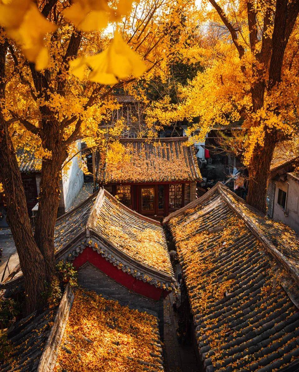 这几步，早期做到，马尾综合征恢复的又快又好！