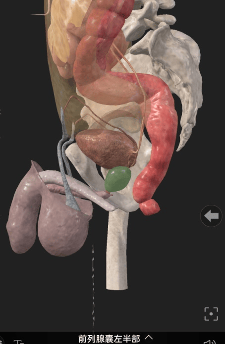 关注男性健康，尿频尿急尿痛不可忍
