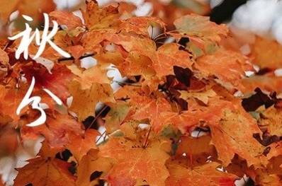 秋分到来，菊花“告急”？建议收藏济南肛泰这份肛肠护卫指南