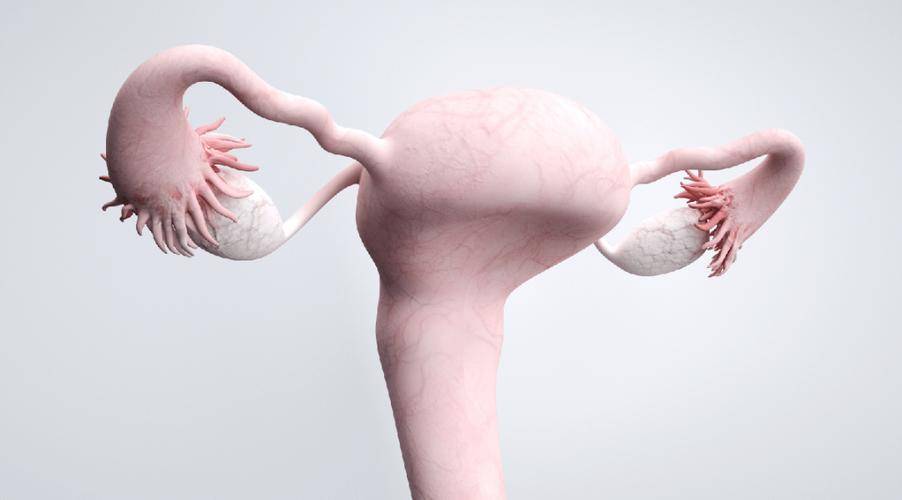 输卵管癌晚期能活多久