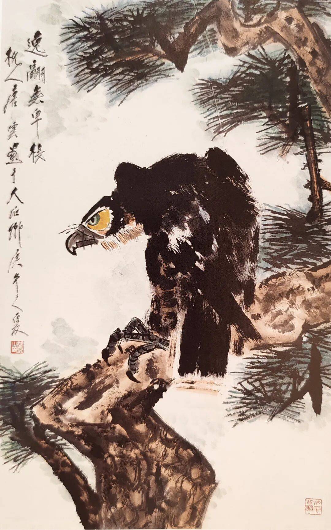 赏唐云、江寒汀等精美绘画