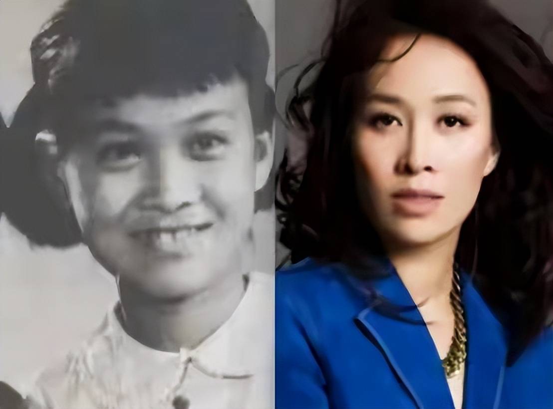 原创            未婚生子、得罪章子怡、接连遭遇背刺，“嘴硬心软”的那英错了吗