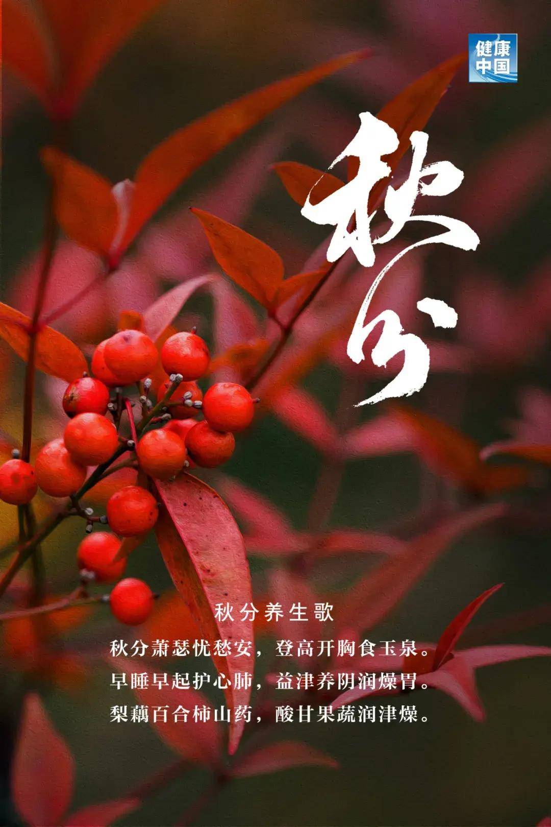 秋分养生的中医逻辑：阴阳平衡是根本