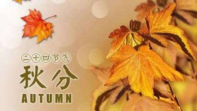 秋分至，男性养生正当时！守住“精气神”，安然度秋冬