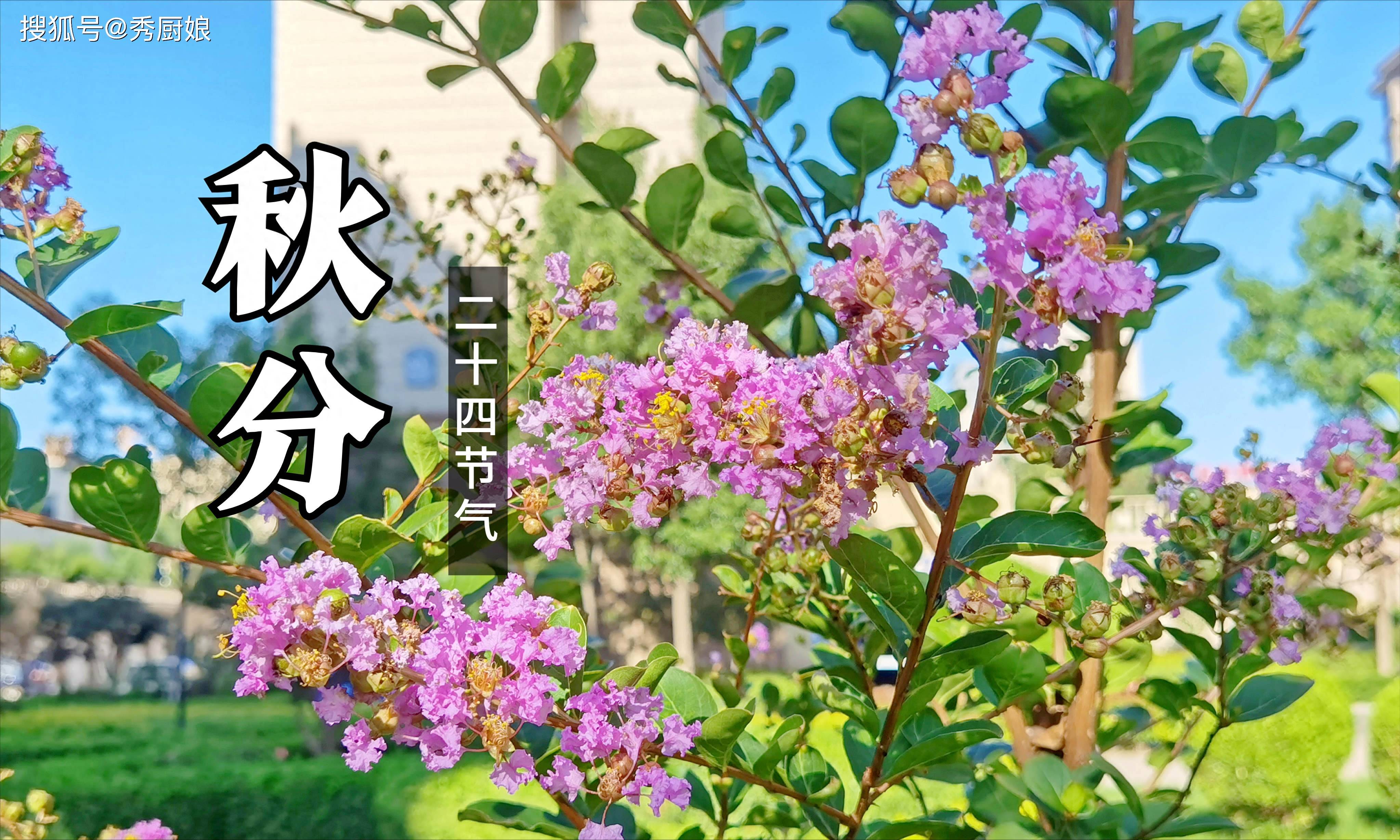 原创            9月23秋分，牢记“吃3样，忌3样”老传统，顺应时节，安康过秋冬