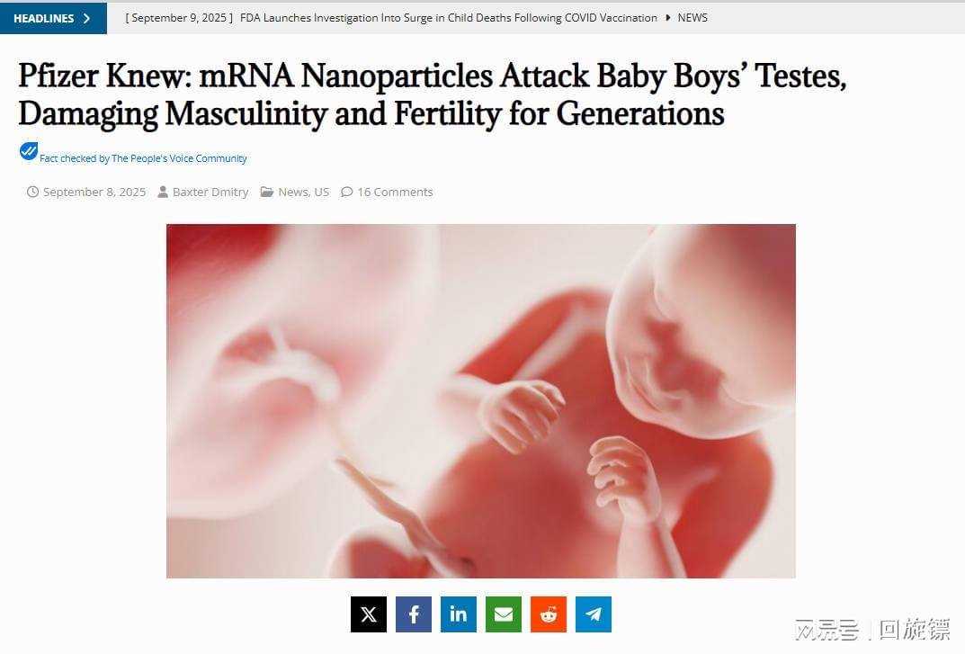 辉瑞内部文件引担忧：mRNA疫苗或对男性生殖系统有潜在影响，男婴发育或受波及