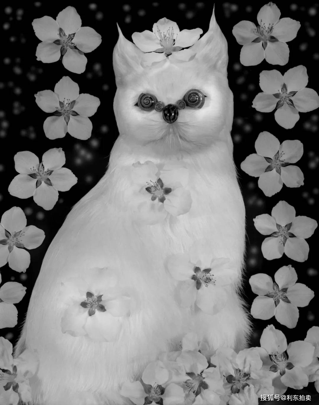 【2025利东秋拍|影像拍品】李志国经典拍品鉴赏