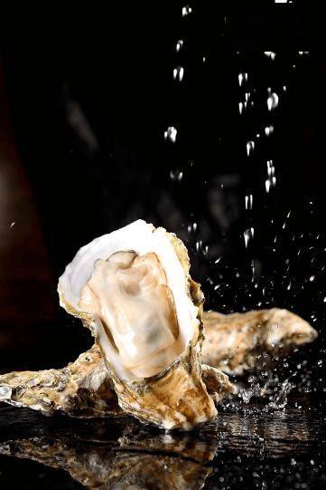 每日一膳｜天然“补锌库”遇上优质蛋白！这汤不仅极鲜，还是隐藏的“营养高手”～广东省中医院杨志敏教授推荐