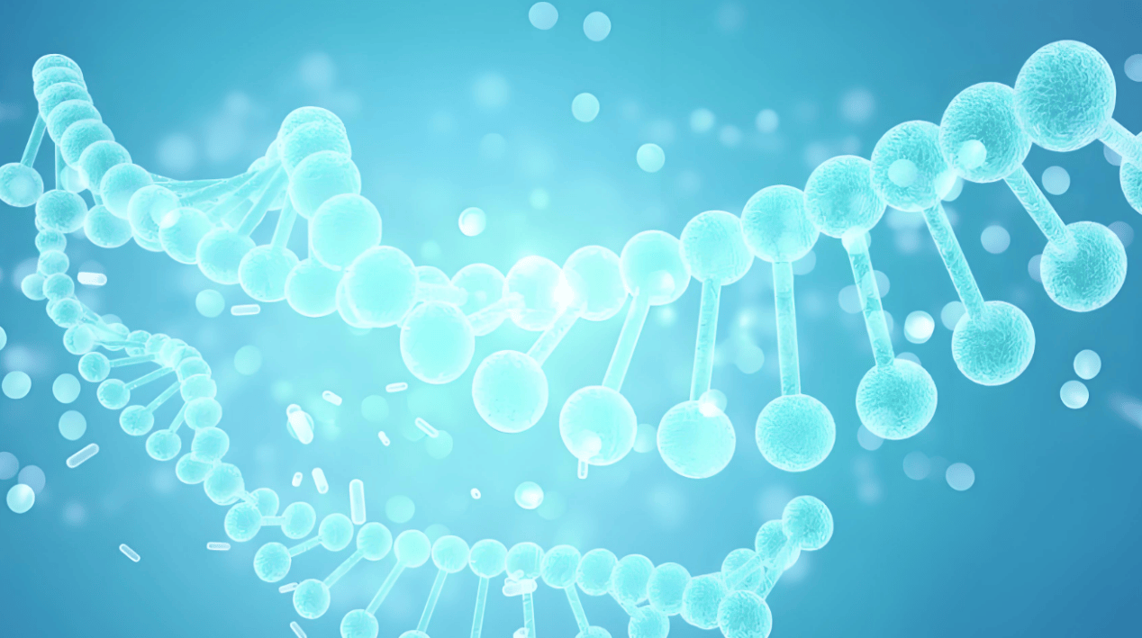 正开元肽知识科普：肽概念、分类、作用与应用领域