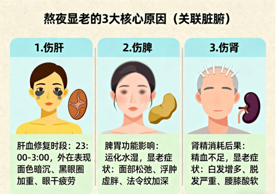 施宣赫谈熬夜显老：原因与调理干货