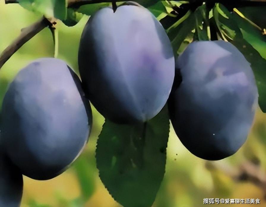 “通便大王”不是香蕉而是它，9月使劲吃，清肠排毒，一身轻松！