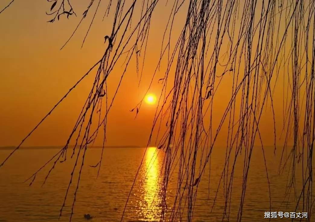 【古诗词鉴赏】唐代诗人张籍《秋思》诗赏析