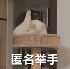 原创            热搜爆了！西贝发长文致歉，结果彻底翻车...