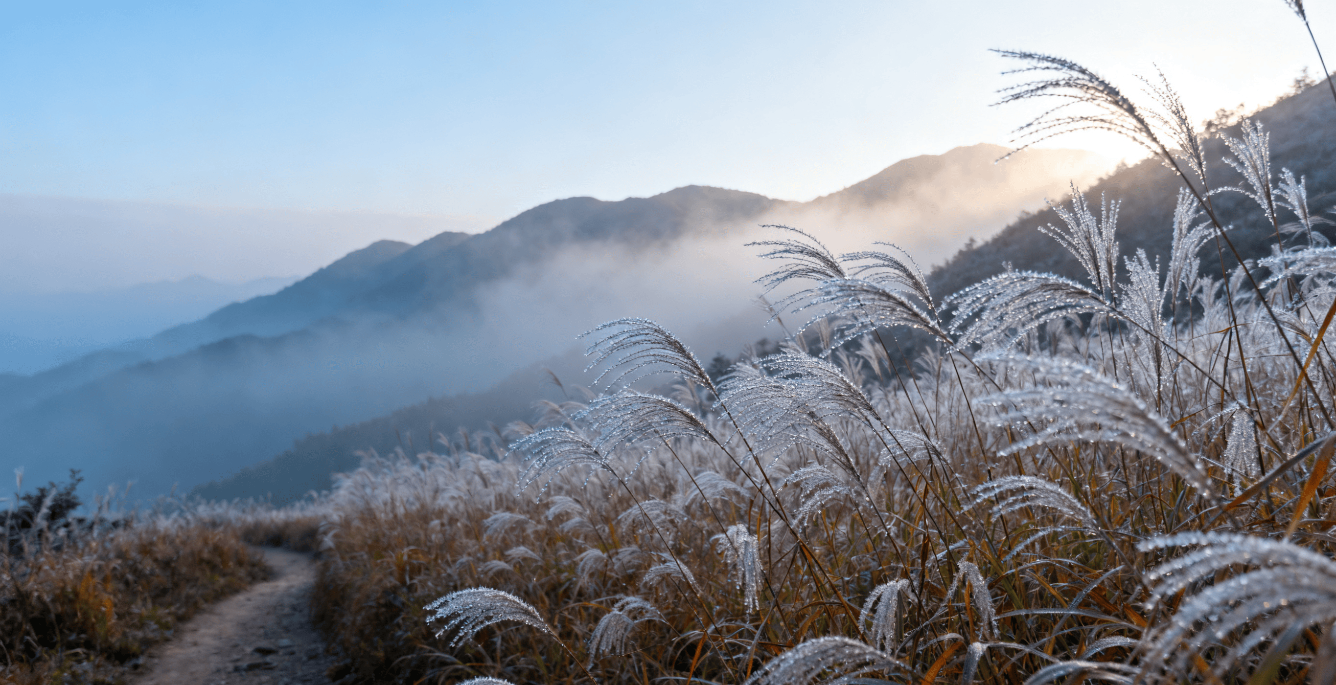 白露养生：跟着膳之幸，顺应节气护安康