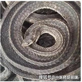 关节变形肿大,经方与虫类药物结合治疗